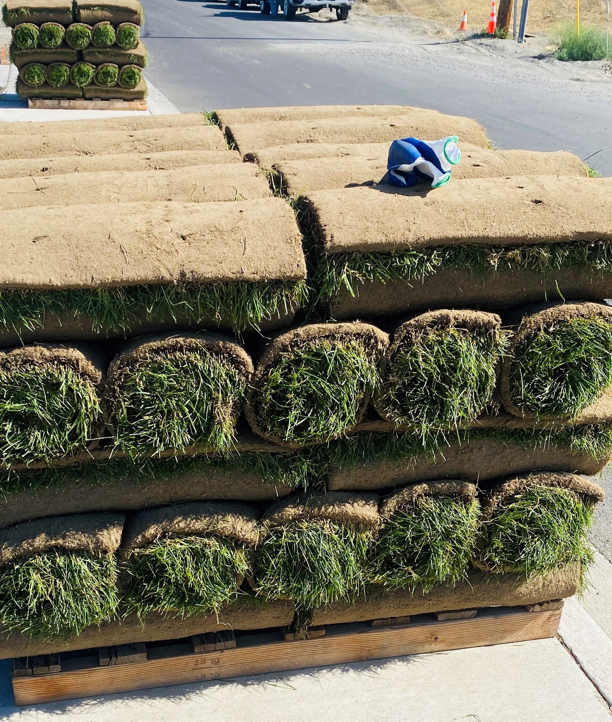 Laying down the sod